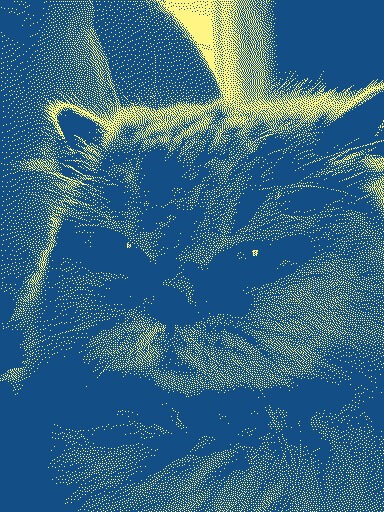 Tofu dithered portrait